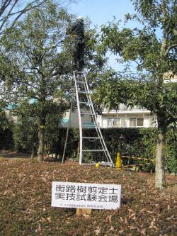 IMG_1053_convert_20120130134530.jpg