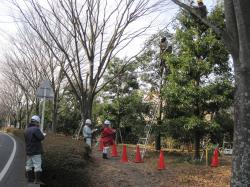 IMG_1057_convert_20120130134731.jpg