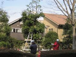 IMG_1079_convert_20120130135216.jpg