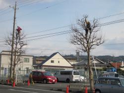 IMG_1088_convert_20120130135617.jpg