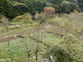 県景観賞１.JPG