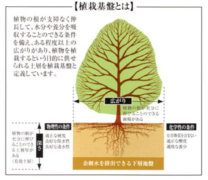 植栽基盤とは