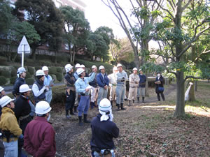 剪定士指導員による説明風景（シラカシ）