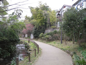 せせらぎと既存樹林を巧みに生かした癒しの空間を形成